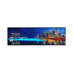 Dahua 29'' Stretched Series Wall Mounted LCD Digital Signage Monitor