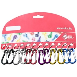 SILCA D-CLIP 40X20MM (SML) W/RING 6 COLOUR CD12